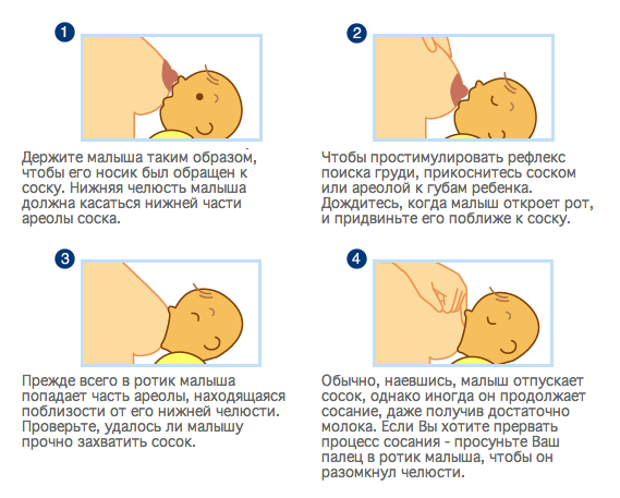 Как сделать так чтобы не было грудного молока - Kuente.ru