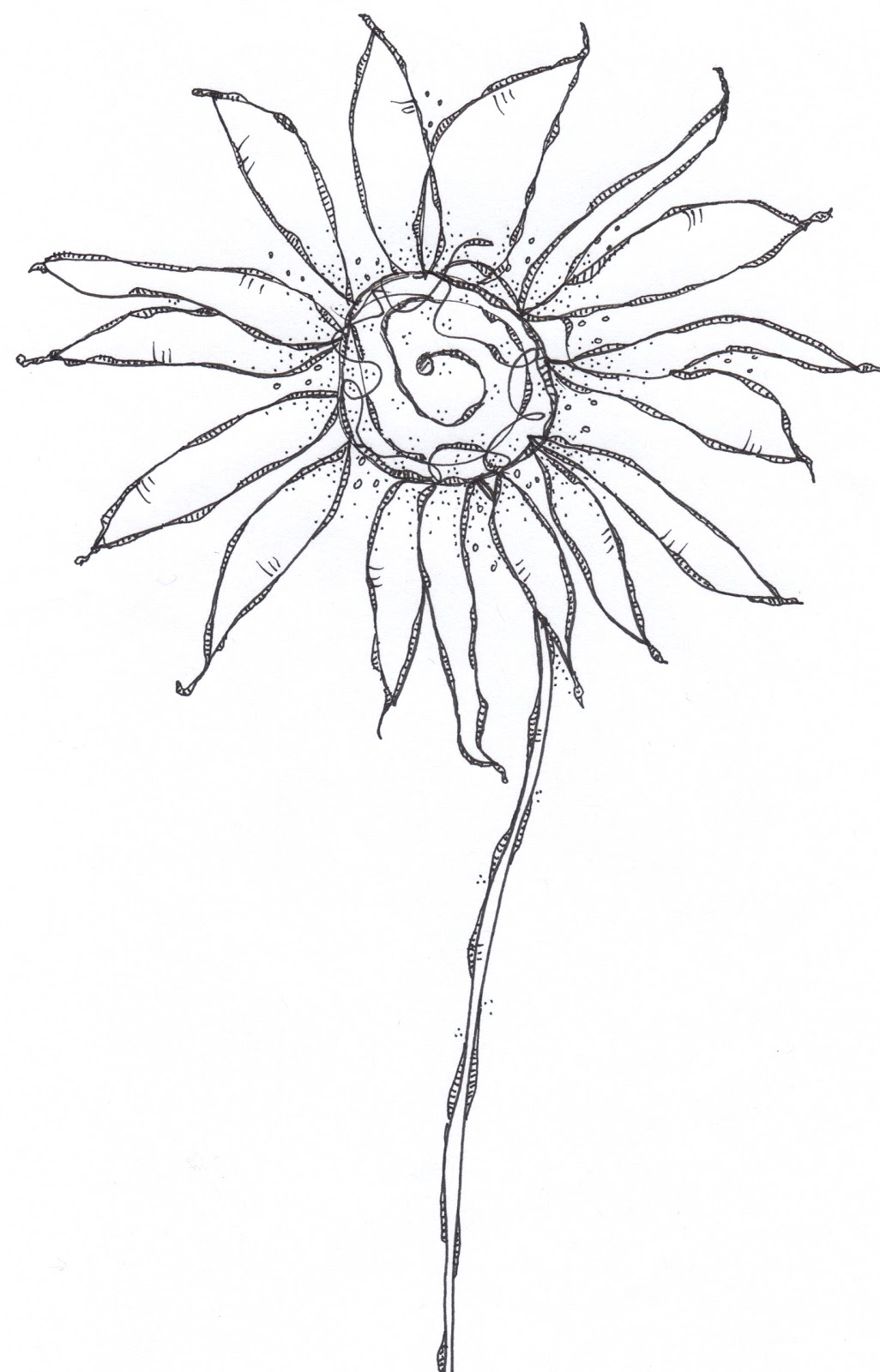 Flower Head Line Drawing : The sketchbook challenge unleashing doodle beast