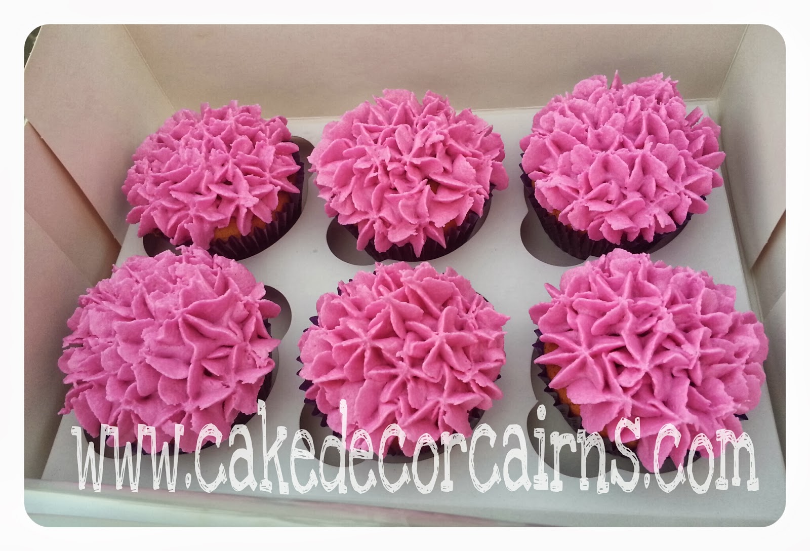 Cake Decor in Cairns How do I Pipe Big Swirls & Roses on Cupcakes?