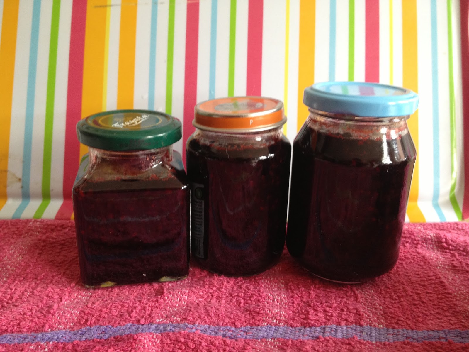 The Zombie Survival Food Bible BLACKBERRY CHILLI JAM