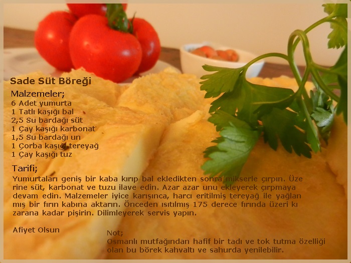 Sevdaninsokagi Sade Süt Böreği