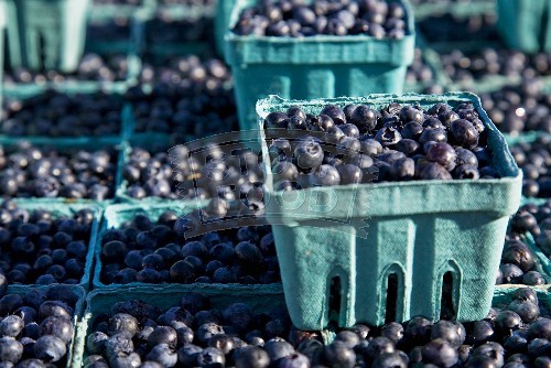 Quart Of Blueberries