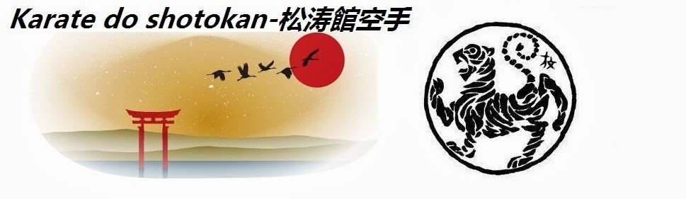 Karate do shotokan-松涛館空