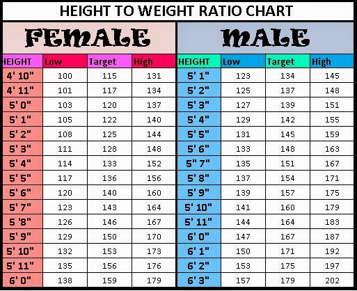 Height Weight Waist Chart