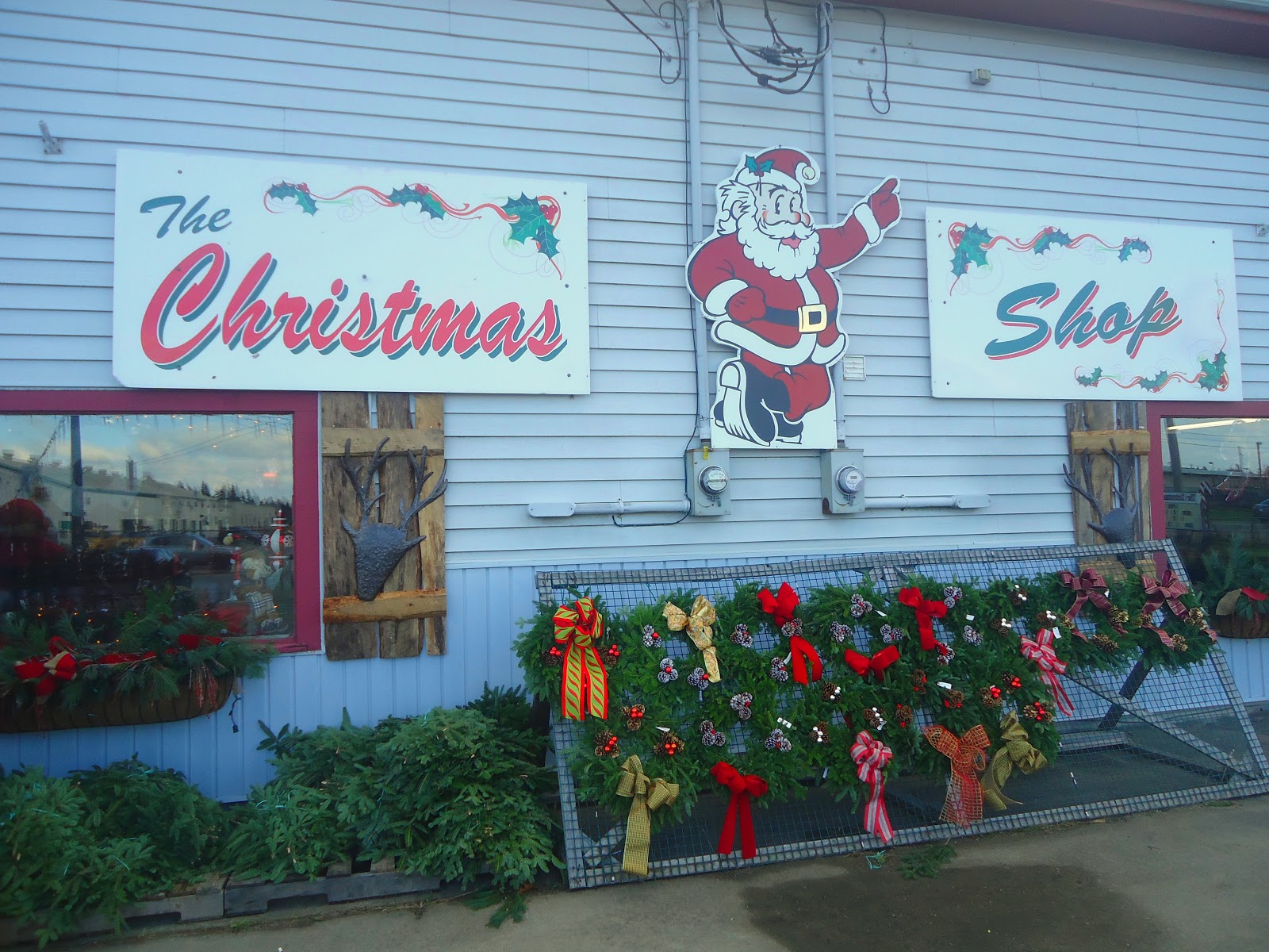 Lucas In Canada - Diário de Intercâmbio, Nova Scotia.: Yarmouth: The