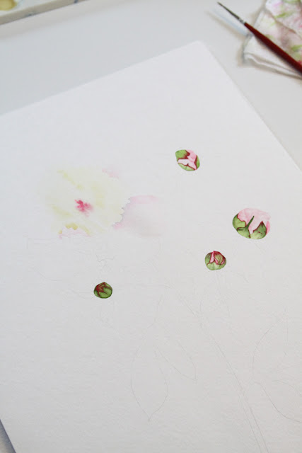 watercolor, peonies, painting, Anne Butera, My Giant Strawberry