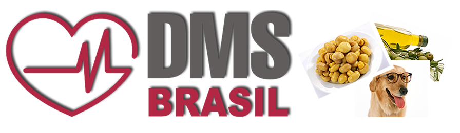 DMS Brasil