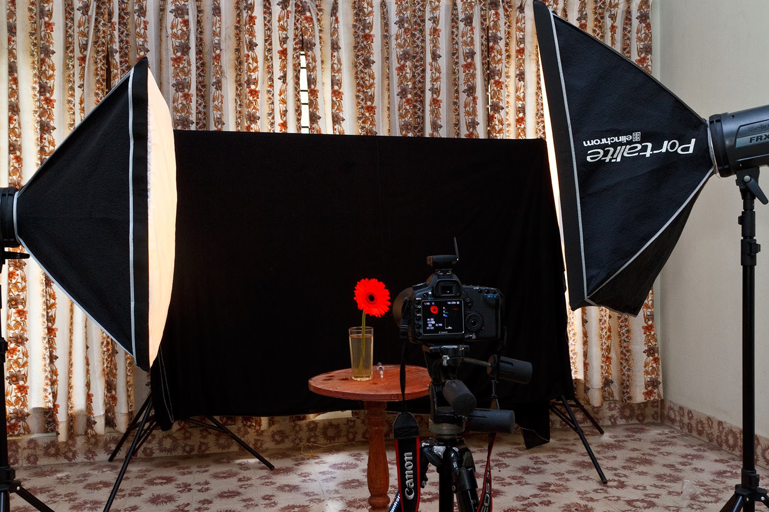 How to Photograph Flowers with a Black Background Technology Share