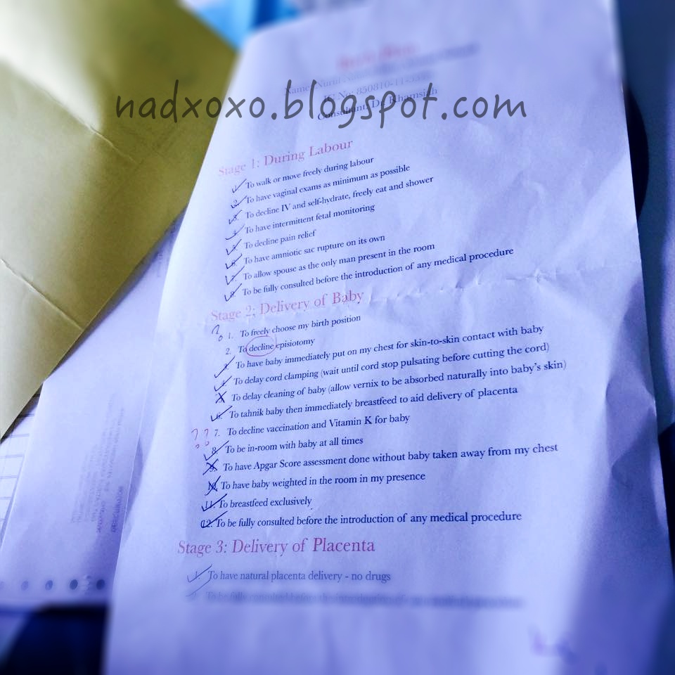 birth plan introduction rome fontanacountryinn com birth plan introduction