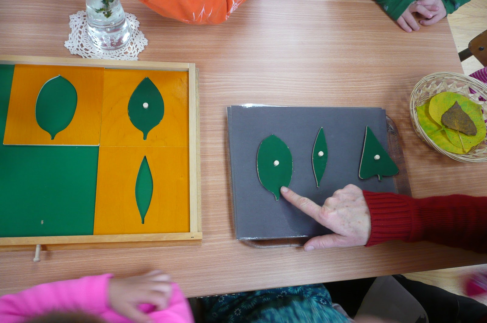 Montessori Teachings The Botany