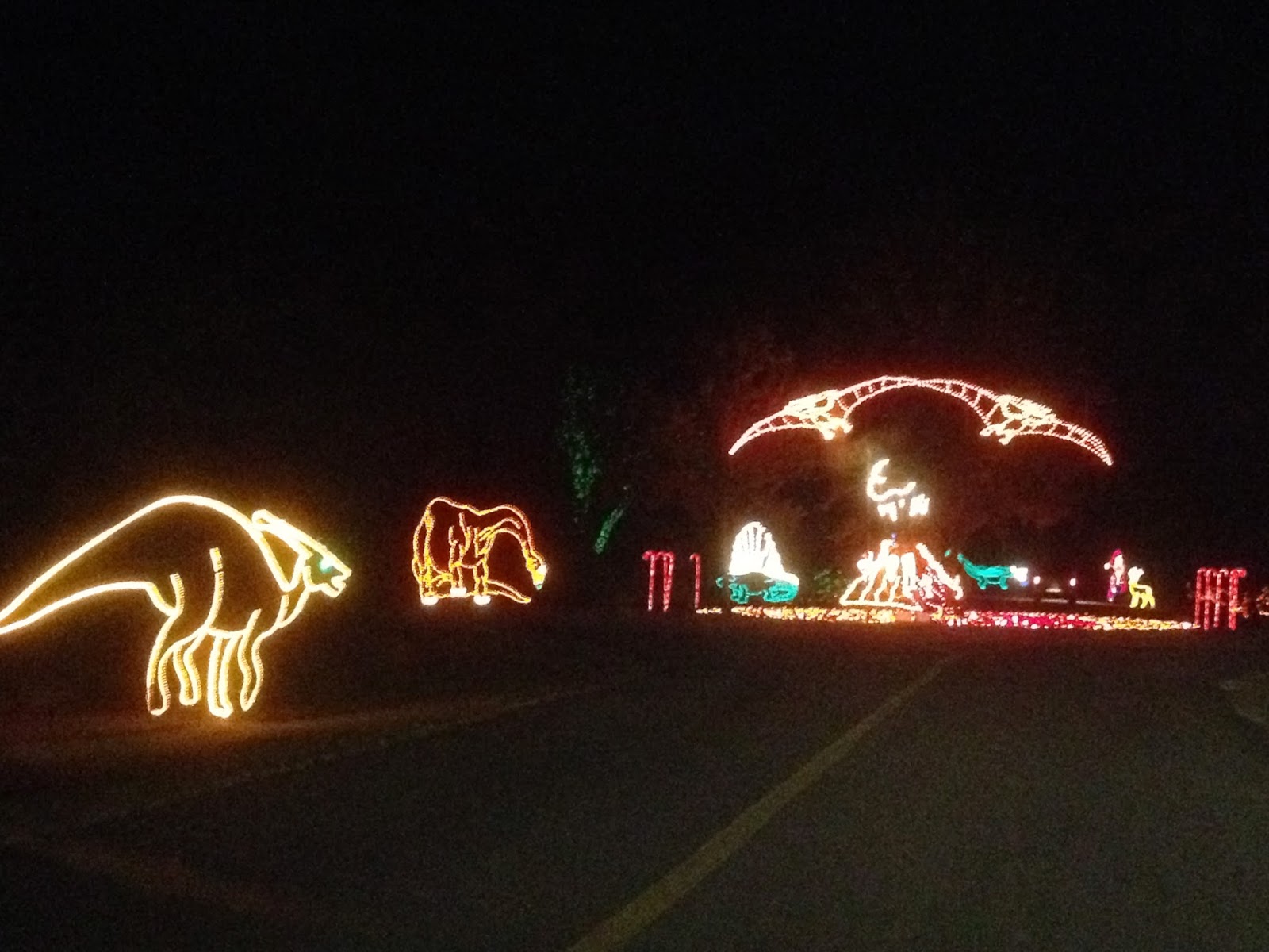 Shanna's Adventures Charleston Area's Premiere Holiday Light Display