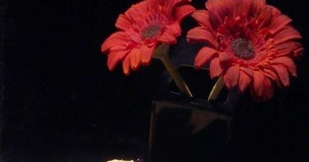 De los gozques el tratamiento del alcoholismo las revocaciones