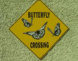 Share Our Garden!: Build a Butterfly-Friendly Garden