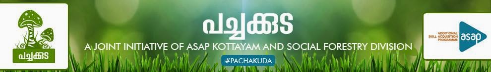 Pachakuda | A Joint initiative of ASAP Kottayam and Social Forestry