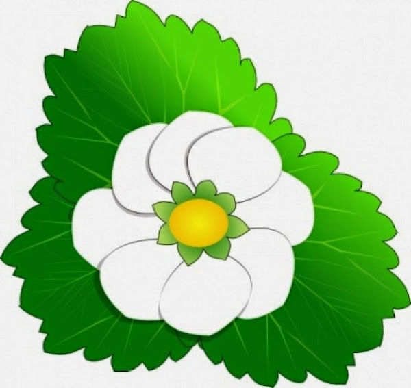 Strawberry Flower Clip Art