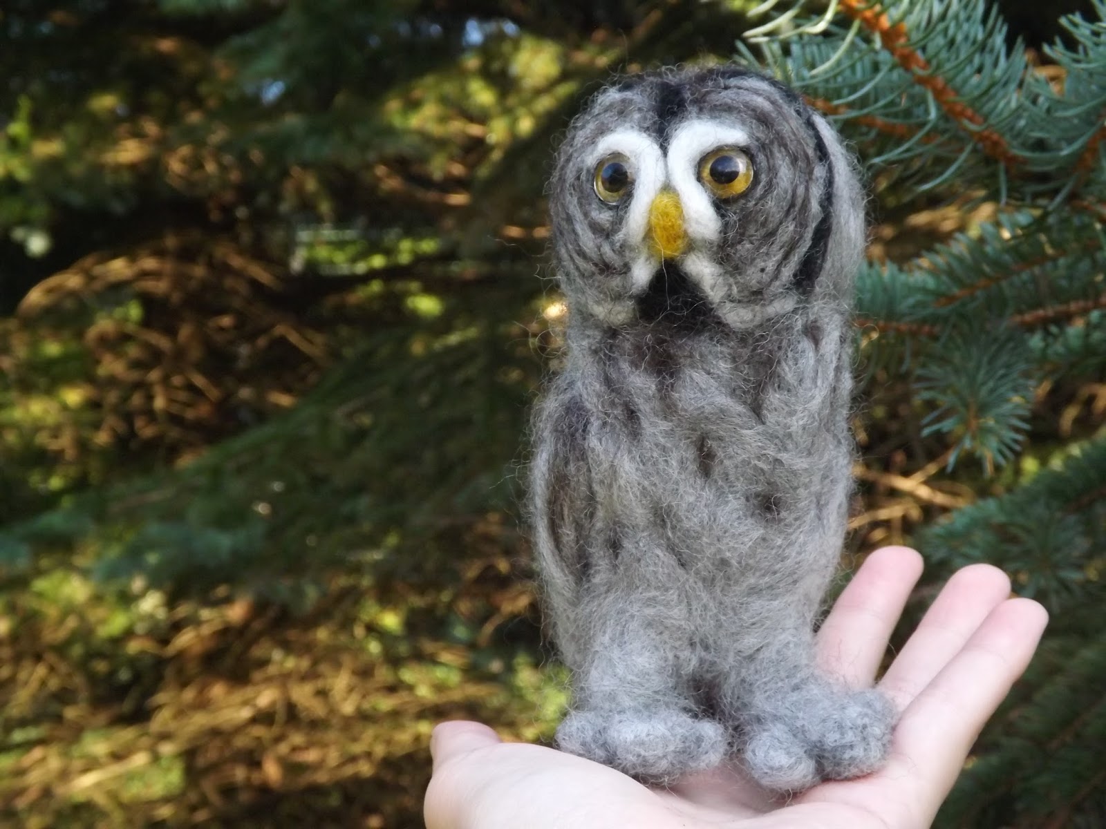 Twilight the Great Grey Owl