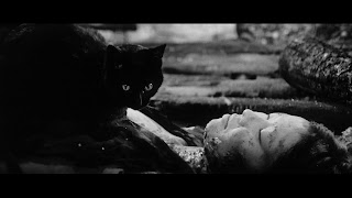 El gato negro 1968