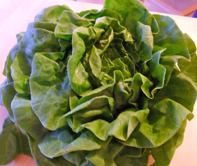 The Frugal Cook Remember lettuce?