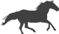 ranch rding horse