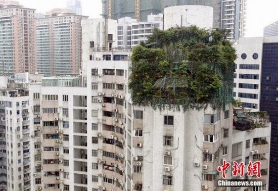 Taktik Pemilik Apartment Sembunyi Dua Tingkat Tambahan Haram pangsapuri haram