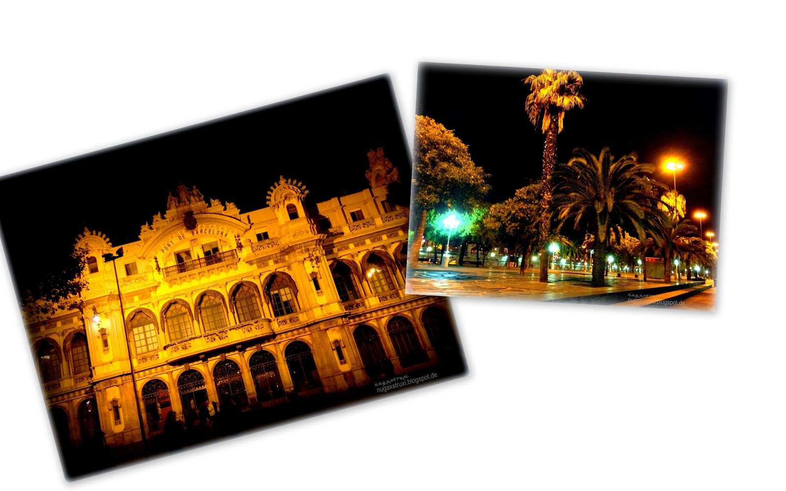 Rundfahrt Am Abend Auf Dem Bodensee