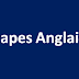 correction capes anglais 2007