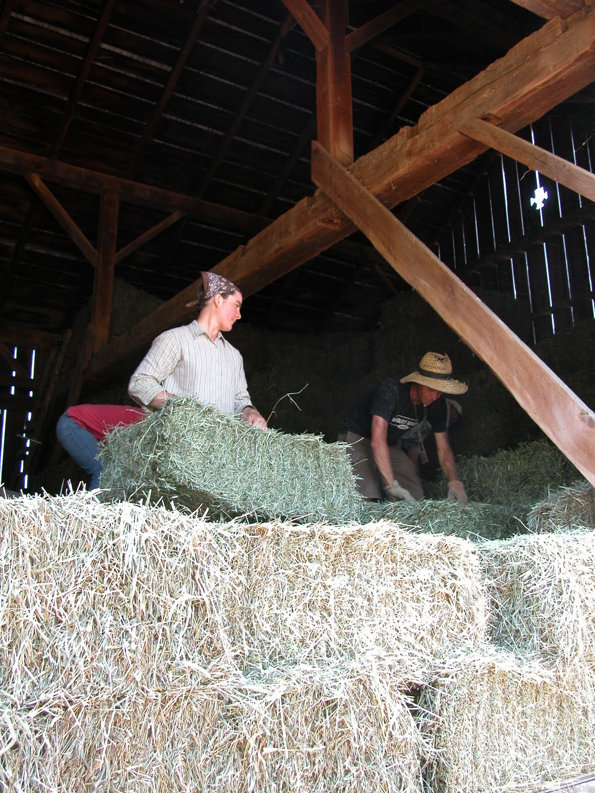 Little Flower Farm Haying