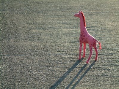 girafa vesela