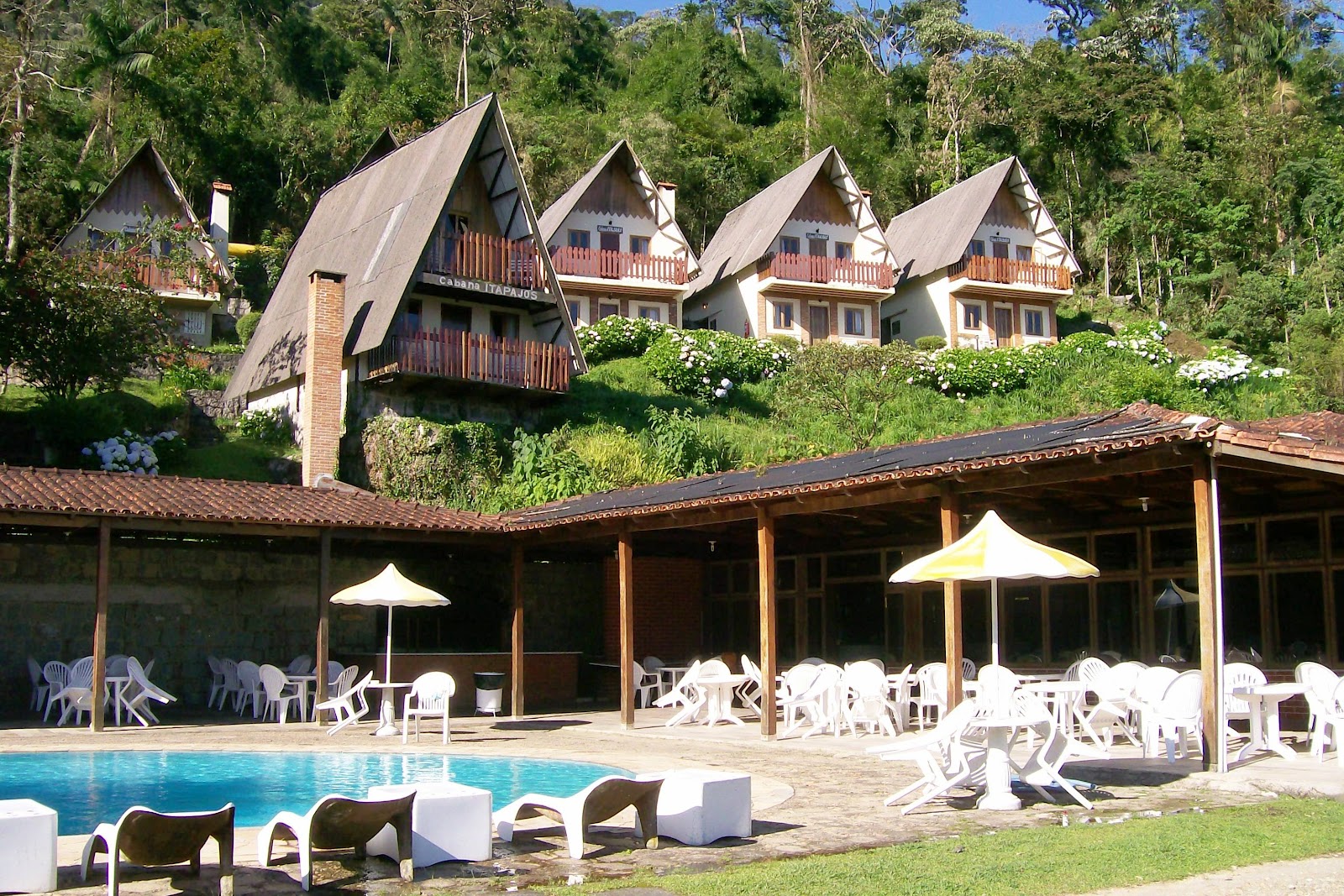 PLANTAS,ORQUIDEAS,DICAS,NOTICIAS,CURIOSIDADES: PARQUE NACIONAL DE ITATIAIA