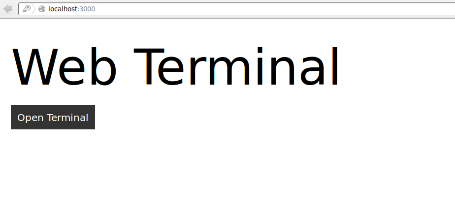 Web terminal