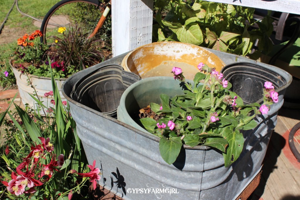 GypsyFarmGirl How I Plant in Vintage Wash Tubs