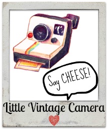 Little Vintage Camera