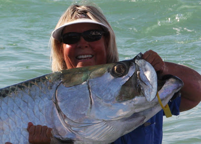Monster snook
