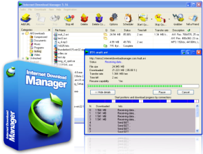 IDM Internet Download Manager 6.23 Build 14 Crack Download