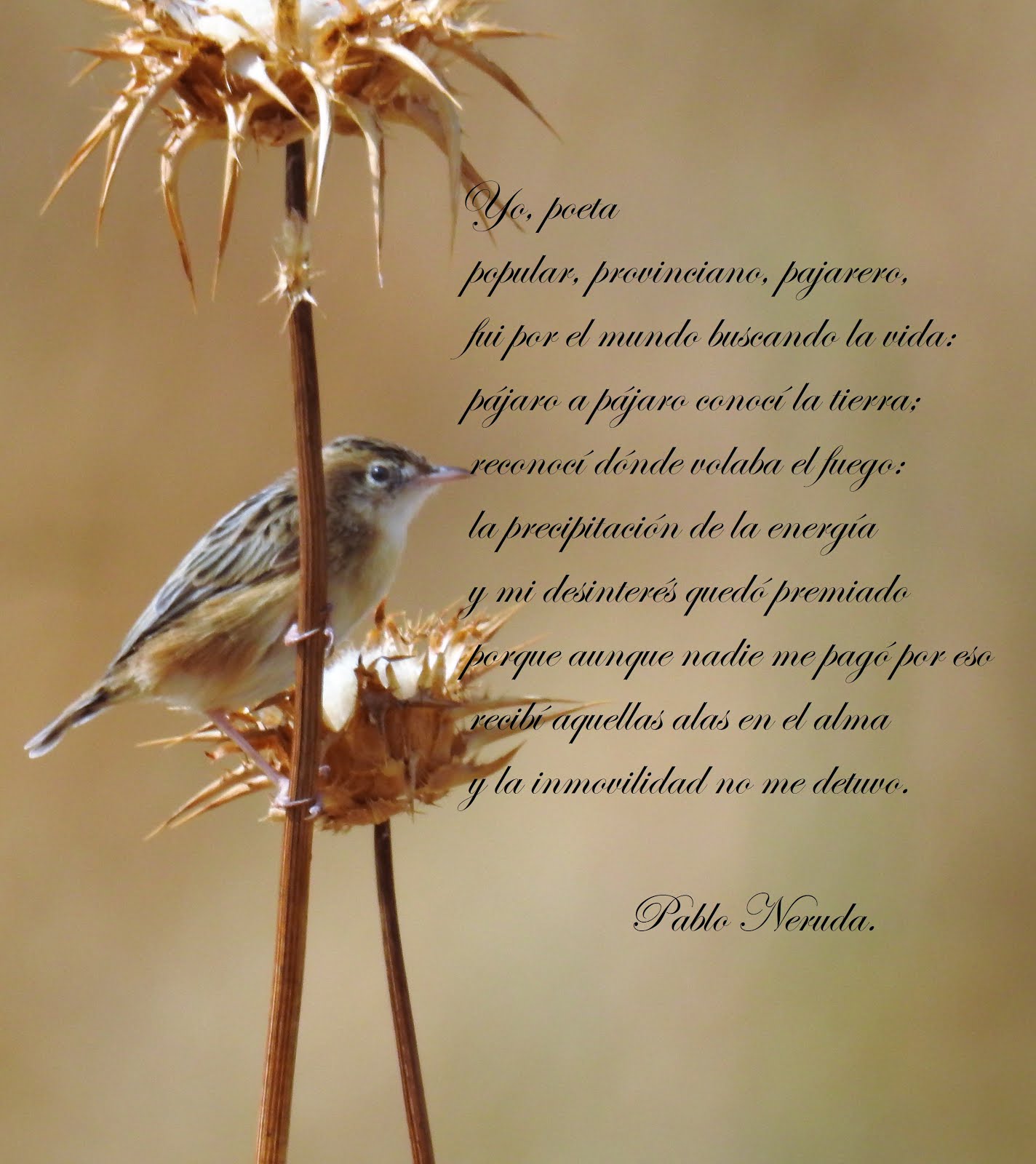 Neruda