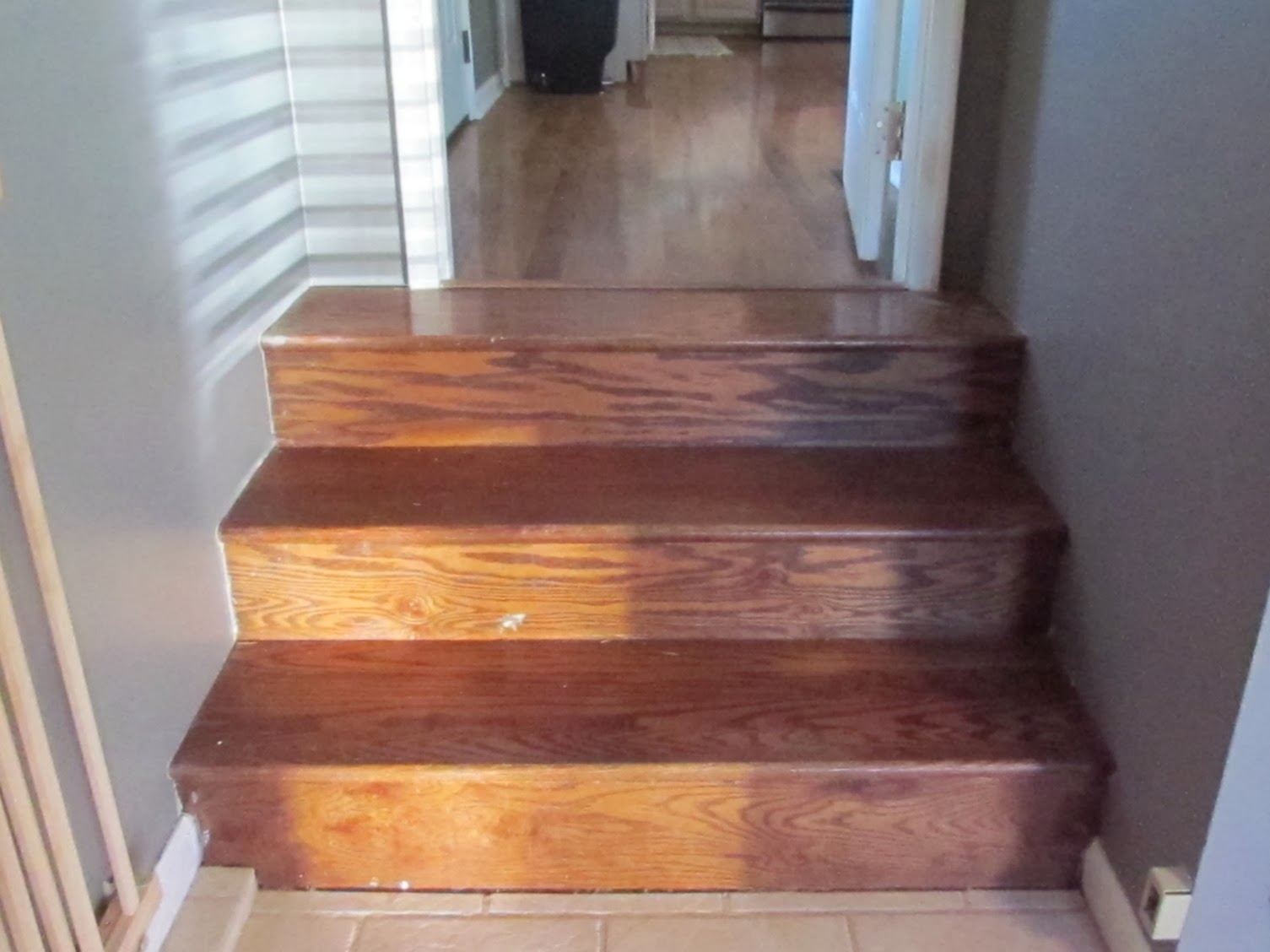 Southern Whim Shoe Molding... makes a WORLD of difference