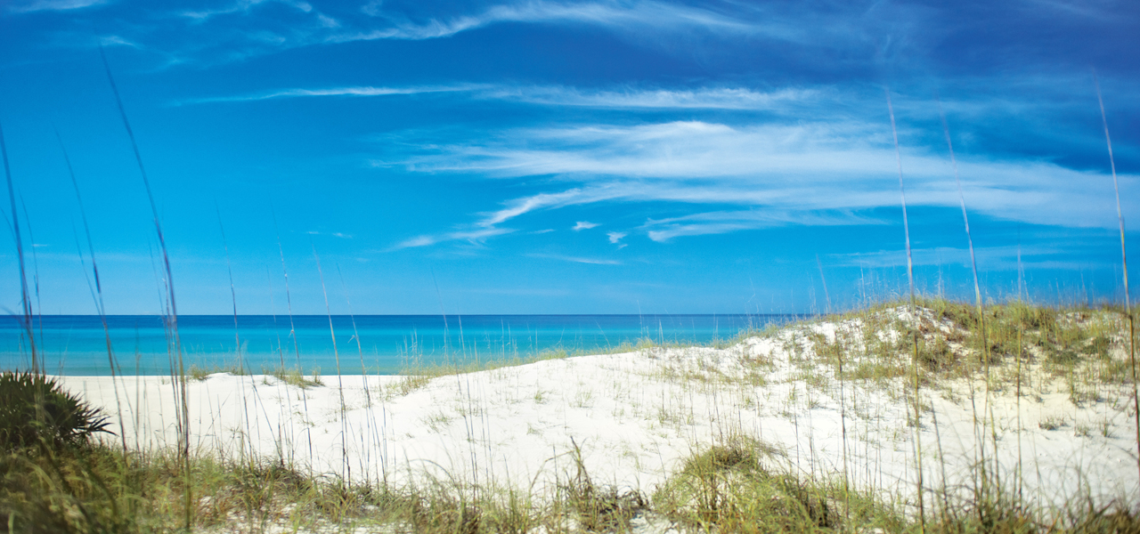 Florida's Best Roller Coasters Tourist Destinations