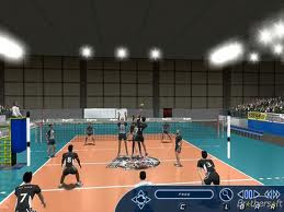 International Volleyball 2010