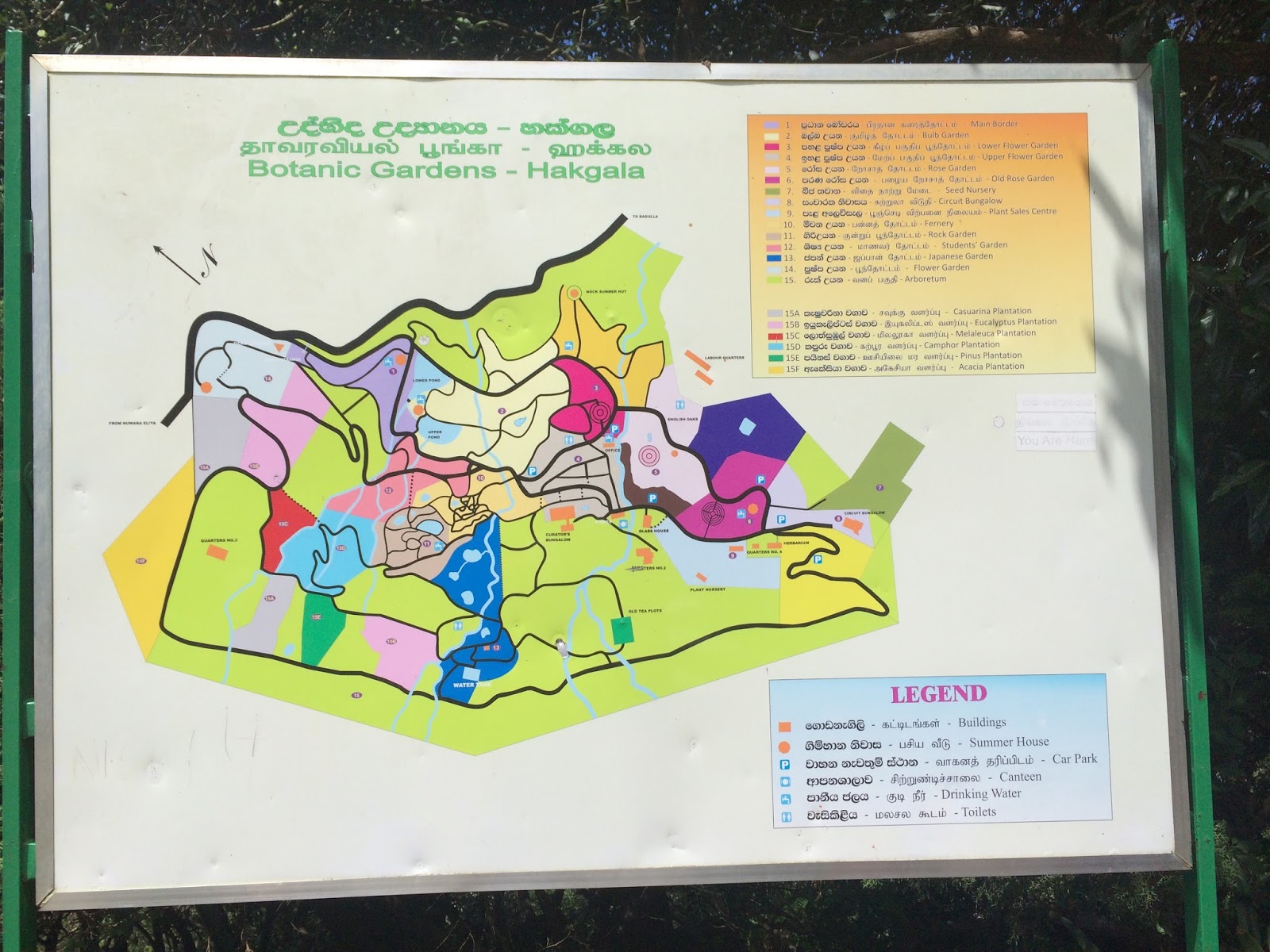 Latest job openings in Middle East Hakgala Botanical Garden in Sri Lanka