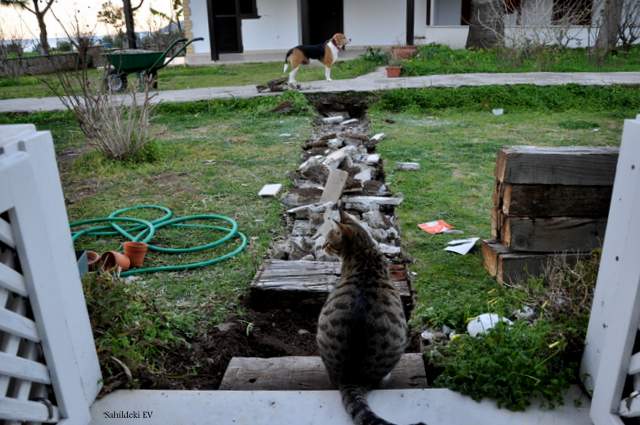 Sahildeki Ev: DIY Bahçe Yolu....