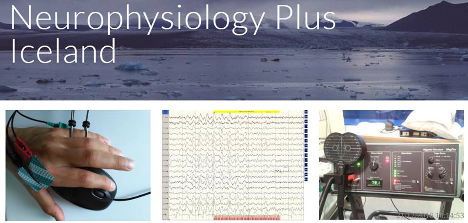 Neurophysiology Plus website