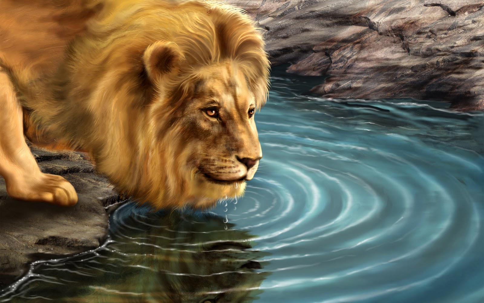 Full HD Beautiful Lion 1080p Wallpaper ~ HD Wallpapers ...