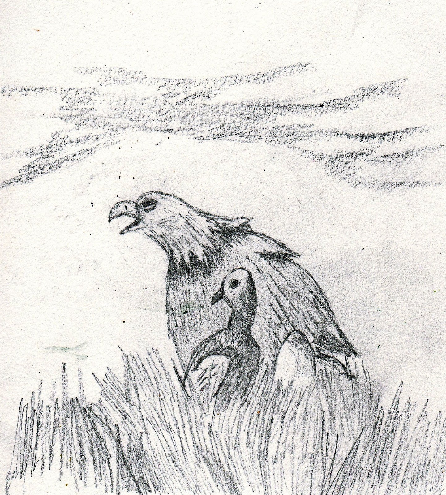 Academic Capital Haiku Poem The Eagle S Eggs