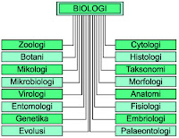 cabang-cabang biologi