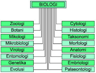 cabang-cabang biologi