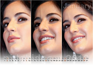 Beautiful Katrina Kaif Desktop Calendar 2012