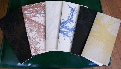 http://1.bp.blogspot.com/-BlMEp7fopek/TbA1Aj7Jn7I/AAAAAAAABmA/DbKfLVWo5gA/s1600/Hab.bmp