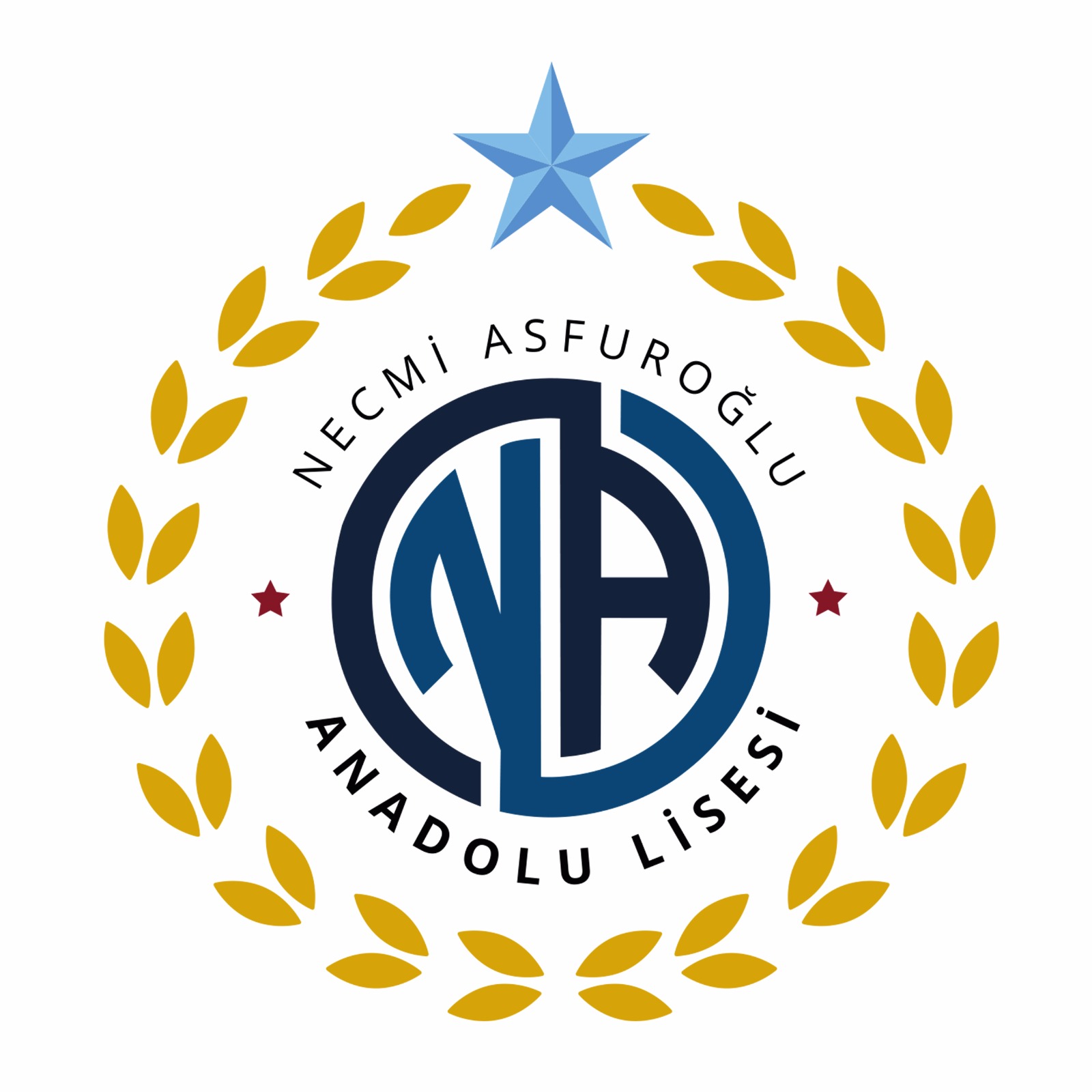 NECMİ ASFUROĞLU ANADOLU LİSESİ