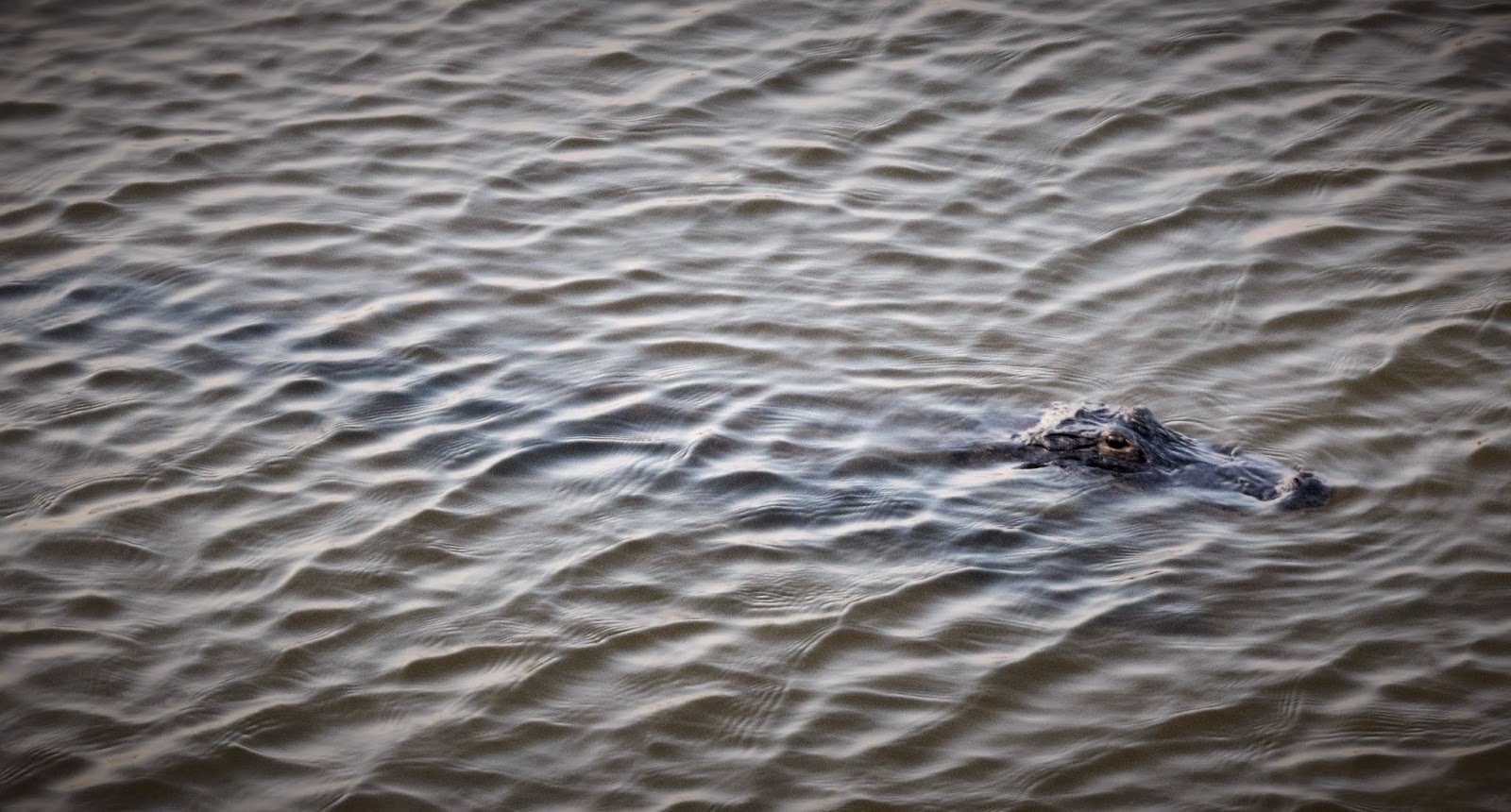 HappiLeeRVing RV Park review Eagle Hammock SUBASE King's Bay