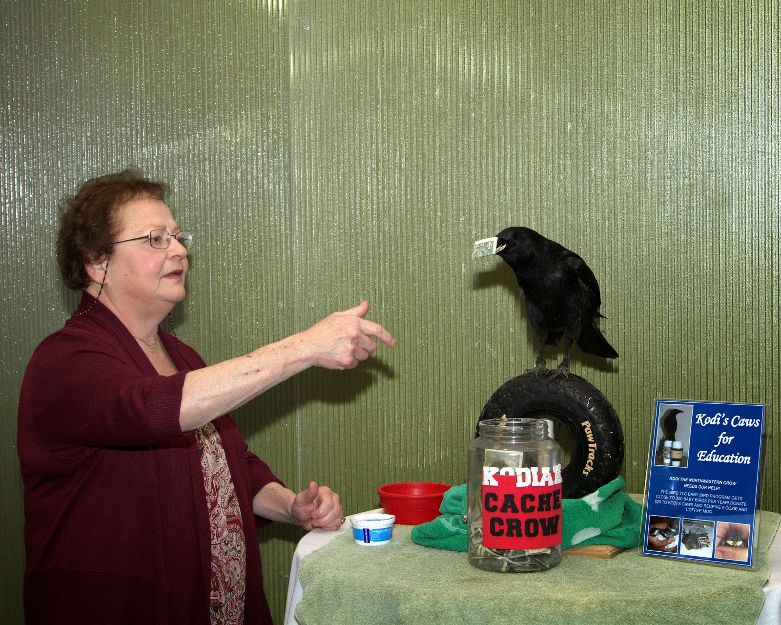 Bird Treatment and Learning Center 2014 "For the Birds"